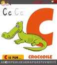 letter C from alphabet with cartoon crocodile animal character