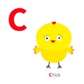 Letter C Chick bird Zoo alphabet. English abc with animals Education cards for kids White background Flat design