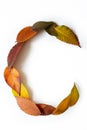 Letter C of colorful autumn leaves. Character C mades of fall foliage. Autumnal design font concept. Seasonal decorative beautiful