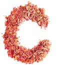 Letter C made of dried rose petals, isolated on white background. Food typography, english alphabet. Design element. Royalty Free Stock Photo