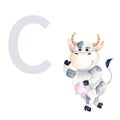 Letter C, uppercase, baby cow, cute kids colorful animal ABC alphabet. Watercolor hand drawn illustration isolated on Royalty Free Stock Photo