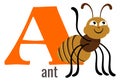 A letter card. Cartoon ant on alphabet symbol