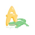 Letter A. Children's alphabet with a cute alligator. Vector illustration for learning English. Royalty Free Stock Photo