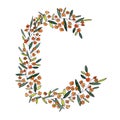 Letter Cof the english and latin floral alphabet. graphic on a white background. letter of sprigs blooming with orange flowers