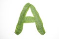 Letter A composed of green leaves