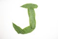 Letter A composed of green leaves