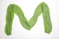 Letter A composed of green leaves