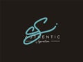 Letter CS Signature Logo Template Vector