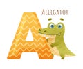 A letter and cute alligator baby animal. Zoo alphabet for children education, home or kindergarten decor cartoon vector Royalty Free Stock Photo