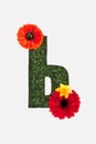Letter from cyrillic alphabet of green grass with bright red gerberas and yellow daffodil isolated on white.