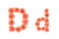 Letter D, alphabet made from orange roses