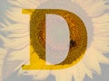 letter D of the alphabet made with a sunflower