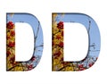 Letter D cut out of white on a background of autumn ripe red viburnum berries, autumn trees and a beautiful blue sky. Decorative