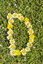 Letter D flower alphabet
