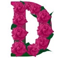 Letter D flower illustration