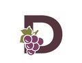 letter d with grapes. fruit alphabet logotype. gardening, winemaking and harvest design