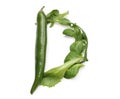 Letter D made from green chili peppers and salad alphabetic ABC letter