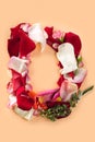 Letter D made from red roses and petals on a white background Royalty Free Stock Photo