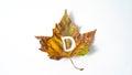 letter d stamped on green and yelllow autumn leaf, on background