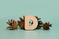 Letter D. A wooden letter of the English alphabet and four pine cones