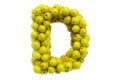 Letter D from yellow apples, 3D rendering Royalty Free Stock Photo