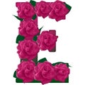 Letter E cute flower illustration