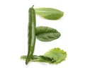 Letter E made from green chili peppers and salad alphabetic ABC letter