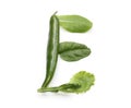 Letter E made from green chili pepper and salad alphabetic ABC letters