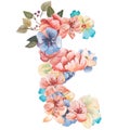 Letter E of watercolor flowers, isolated hand drawn on a white background, wedding design, english alphabet