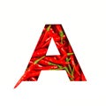 Letter A of English alphabet of hot red chili pepper and cut paper isolated on white. Font of spicy vegetables