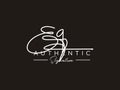 Letter EQ Signature Logo Template Vector