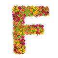 Letter F alphabet made from zinnia flower