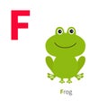 Letter F Frog Zoo alphabet. English abc with animals Education cards for kids White background Flat design