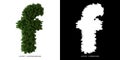 Letter f lowercase of leaves. Alphabet plants.