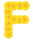 Letter F made from dandelions Royalty Free Stock Photo