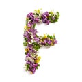 The letter ÃÂ«FÃÂ» made of various natural small flowers.