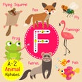 Letter F tracing. Ferret. Fish. Flamingo. Fly. Flying Squirrel. Fox. Frog Royalty Free Stock Photo