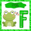 Letter F uppercase cute children colorful zoo and animals