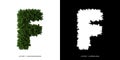 Letter F uppercase of leaves. Alphabet plants.