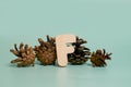 Letter F. A wooden letter of the English alphabet and four pine cones Royalty Free Stock Photo