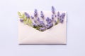 Letter with flowers inside. Love letter with spring flowers. Modern greeting concept.