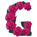 Letter G cute flower illustration