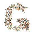 Letter G of the english and latin floral alphabet. graphic on a white background. letter G of sprigs blooming with orange flowers