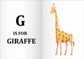 Letter g with a giraffe drawing
