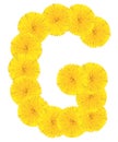 Letter G made from dandelions Royalty Free Stock Photo