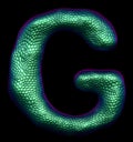 Letter G made of natural green snake skin texture isolated on black. Royalty Free Stock Photo