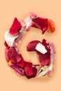 Letter G made from red roses and petals isolated on a white background Royalty Free Stock Photo