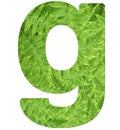 Letter g with texture of fern leaves, font Helvetica Word