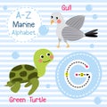 Letter G tracing. Green Turtle. Gull. Marine alphabet Royalty Free Stock Photo