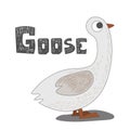 Illustration isolated alphabet letter g-goose vector illustration